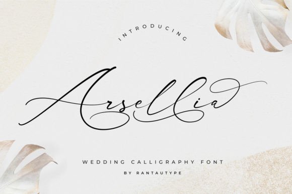 Arsellia: Elevating Your Brand Beyond the Ordinary