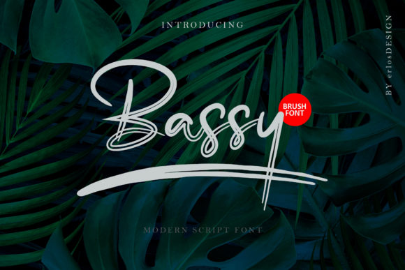 Bassy: The Stylish Script Font for Modern Design