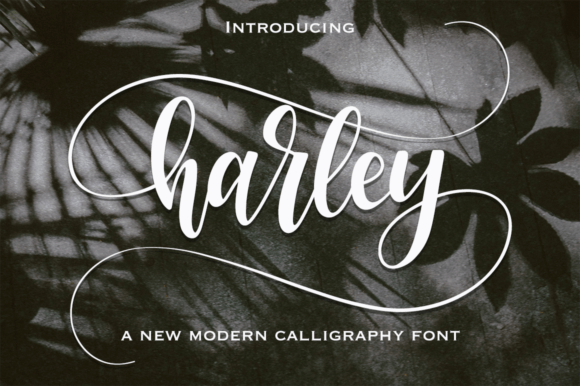 Harley: The Script Font That Brings Natural Elegance to Your Work