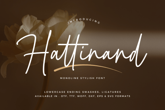 Hattinand: The Elegant Script Font for Modern Designers