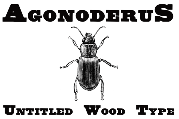 Untitled Wood Type: A Serif with a Story to Tell